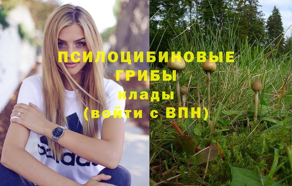 альфа пвп Михайлов