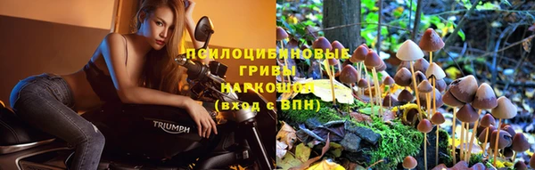 прущая мука Бикин