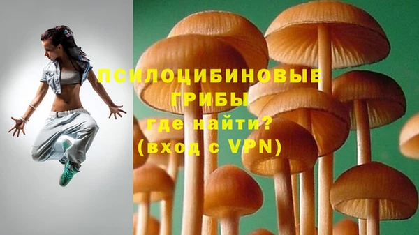 стаф Нефтегорск