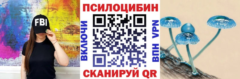 где продают   shop телеграм  Псилоцибиновые грибы ЛСД  Мураши 